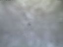 ./images/calvert/lookout/20210314/lookout20210314_082001.jpg