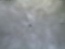 ./images/calvert/lookout/20210314/lookout20210314_082501.jpg
