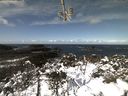 ./images/calvert/lookout/20210314/lookout20210314_114501.jpg