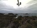 ./images/calvert/lookout/20210316/lookout20210316_182002.jpg