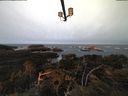 ./images/calvert/lookout/20210317/lookout20210317_080001.jpg