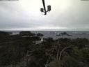 ./images/calvert/lookout/20210317/lookout20210317_091502.jpg
