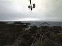 ./images/calvert/lookout/20210317/lookout20210317_092502.jpg