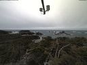 ./images/calvert/lookout/20210317/lookout20210317_102001.jpg
