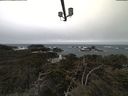 ./images/calvert/lookout/20210317/lookout20210317_102502.jpg
