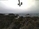 ./images/calvert/lookout/20210317/lookout20210317_111502.jpg