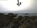 ./images/calvert/lookout/20210317/lookout20210317_113501.jpg