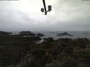 ./images/calvert/lookout/20210318/lookout20210318_102001.jpg