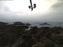./images/calvert/lookout/20210318/lookout20210318_102501.jpg