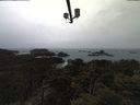 ./images/calvert/lookout/20210318/lookout20210318_104501.jpg