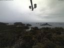 ./images/calvert/lookout/20210318/lookout20210318_114002.jpg
