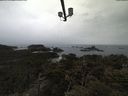 ./images/calvert/lookout/20210318/lookout20210318_114502.jpg