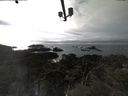 ./images/calvert/lookout/20210318/lookout20210318_164001.jpg