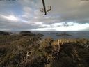./images/calvert/lookout/20210319/lookout20210319_090501.jpg