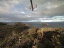 ./images/calvert/lookout/20210319/lookout20210319_091002.jpg