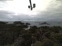 ./images/calvert/lookout/20210320/lookout20210320_101501.jpg