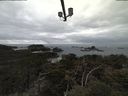 ./images/calvert/lookout/20210320/lookout20210320_143502.jpg