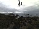 ./images/calvert/lookout/20210320/lookout20210320_145502.jpg