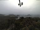 ./images/calvert/lookout/20210321/lookout20210321_124501.jpg
