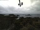 ./images/calvert/lookout/20210323/lookout20210323_113501.jpg