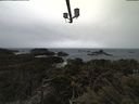 ./images/calvert/lookout/20210323/lookout20210323_131502.jpg