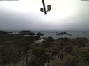 ./images/calvert/lookout/20210323/lookout20210323_141501.jpg