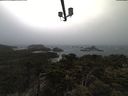 ./images/calvert/lookout/20210323/lookout20210323_154501.jpg