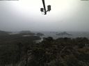 ./images/calvert/lookout/20210323/lookout20210323_161501.jpg