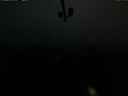 ./images/calvert/lookout/20210323/lookout20210323_202002.jpg