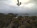 ./images/calvert/lookout/20210326/lookout20210326_091501.jpg