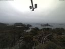 ./images/calvert/lookout/20210326/lookout20210326_182001.jpg