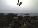 ./images/calvert/lookout/20210326/lookout20210326_185001.jpg