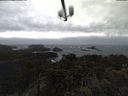 ./images/calvert/lookout/20210327/lookout20210327_131501.jpg