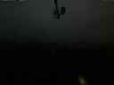 ./images/calvert/lookout/20210327/lookout20210327_202502.jpg