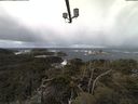 ./images/calvert/lookout/20210328/lookout20210328_101501.jpg