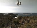 ./images/calvert/lookout/20210329/lookout20210329_133501.jpg