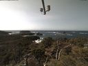 ./images/calvert/lookout/20210329/lookout20210329_134501.jpg