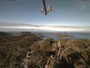 ./images/calvert/lookout/20210330/lookout20210330_094501.jpg