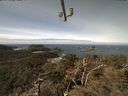 ./images/calvert/lookout/20210330/lookout20210330_115501.jpg