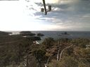./images/calvert/lookout/20210330/lookout20210330_145001.jpg
