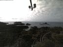 ./images/calvert/lookout/20210330/lookout20210330_151002.jpg