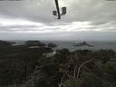 ./images/calvert/lookout/20210331/lookout20210331_124501.jpg