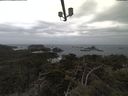 ./images/calvert/lookout/20210331/lookout20210331_125501.jpg