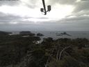 ./images/calvert/lookout/20210331/lookout20210331_141002.jpg