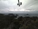 ./images/calvert/lookout/20210331/lookout20210331_173502.jpg