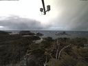 ./images/calvert/lookout/20210401/lookout20210401_123501.jpg