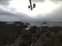 ./images/calvert/lookout/20210401/lookout20210401_150502.jpg