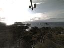 ./images/calvert/lookout/20210401/lookout20210401_160501.jpg