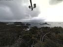 ./images/calvert/lookout/20210401/lookout20210401_185002.jpg