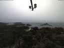 ./images/calvert/lookout/20210402/lookout20210402_091001.jpg